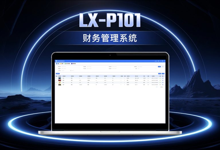 龙信财务管理系统LX-P101